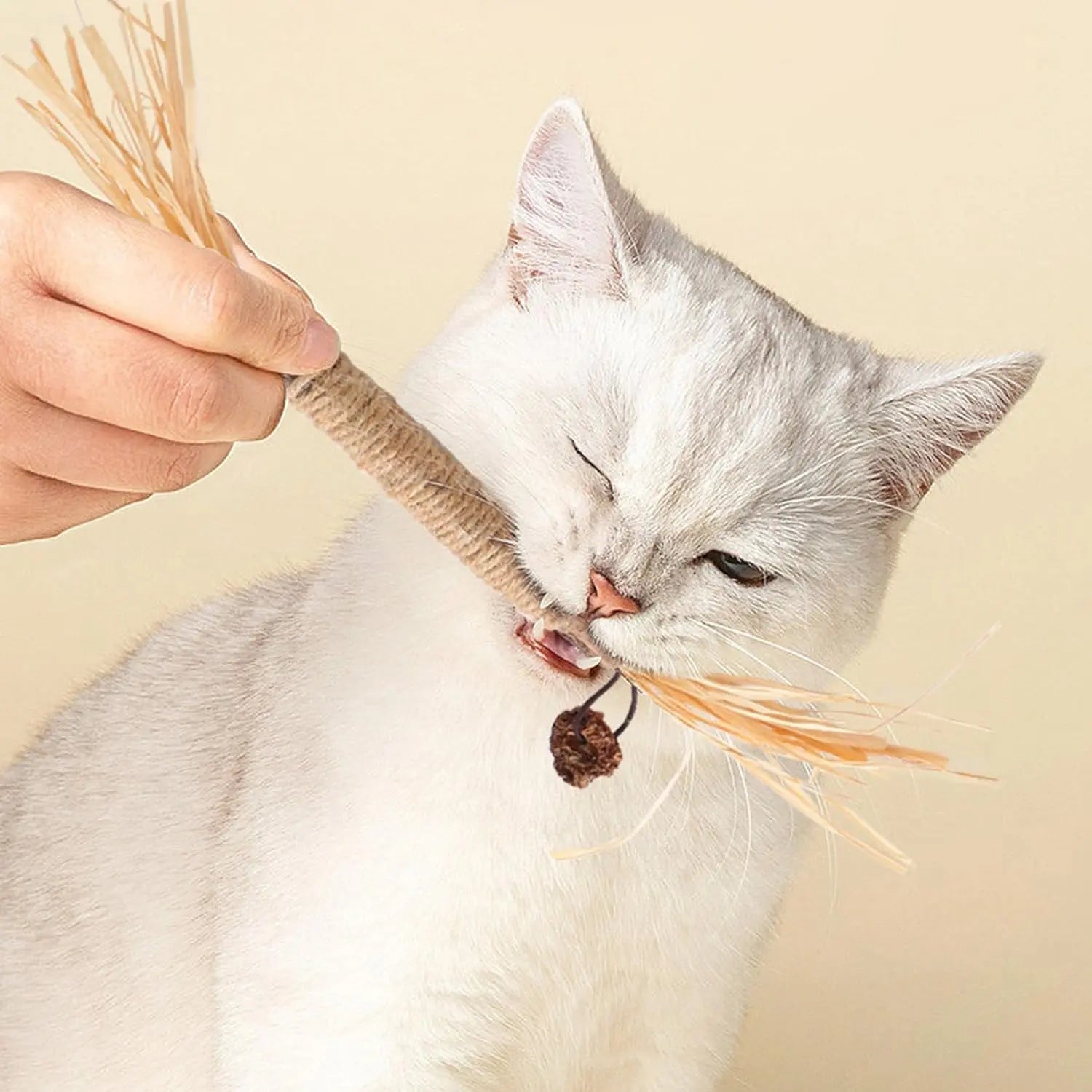 Premium Natural Silvervine Chew Sticks for Cats - Edible Teeth Cleaning Toys and Catnip Alternative