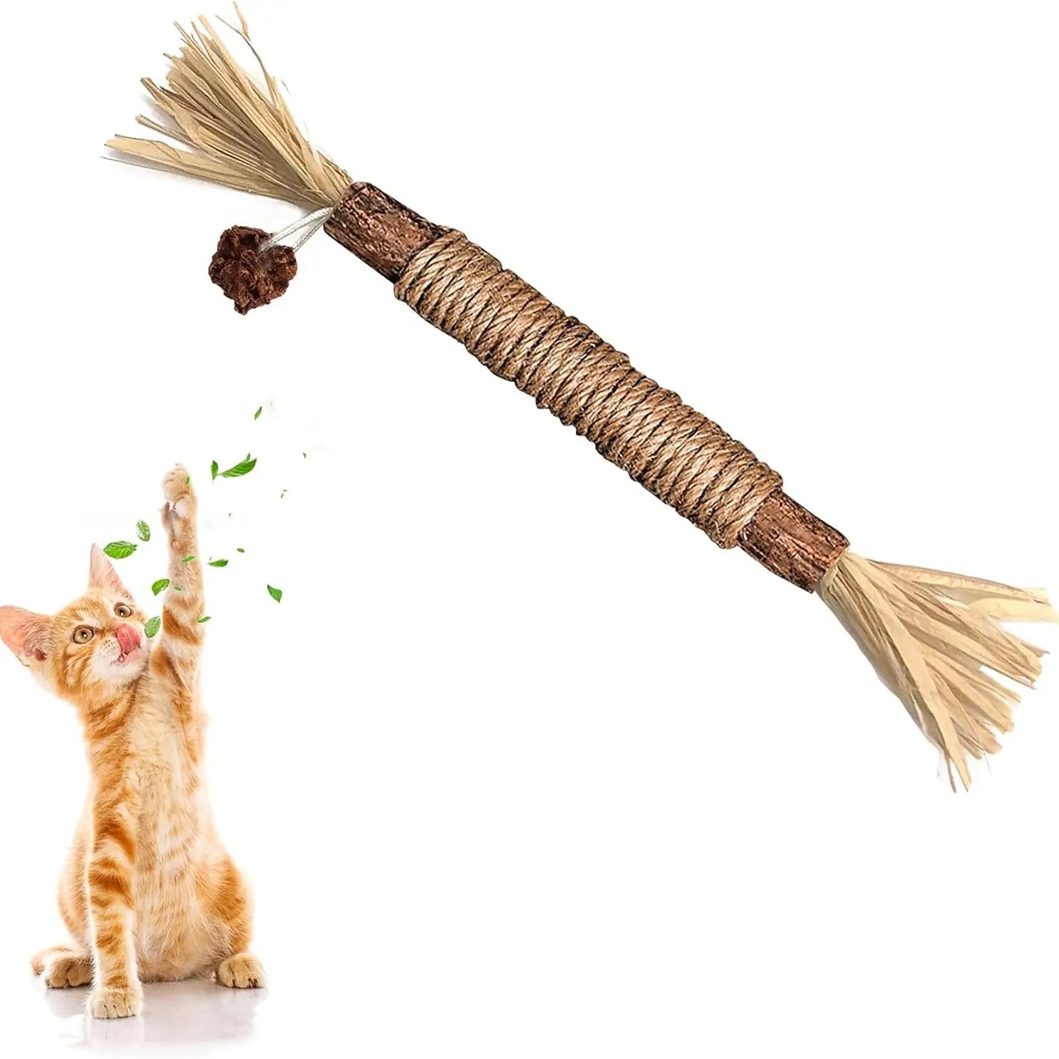 Premium Natural Silvervine Chew Sticks for Cats - Edible Teeth Cleaning Toys and Catnip Alternative