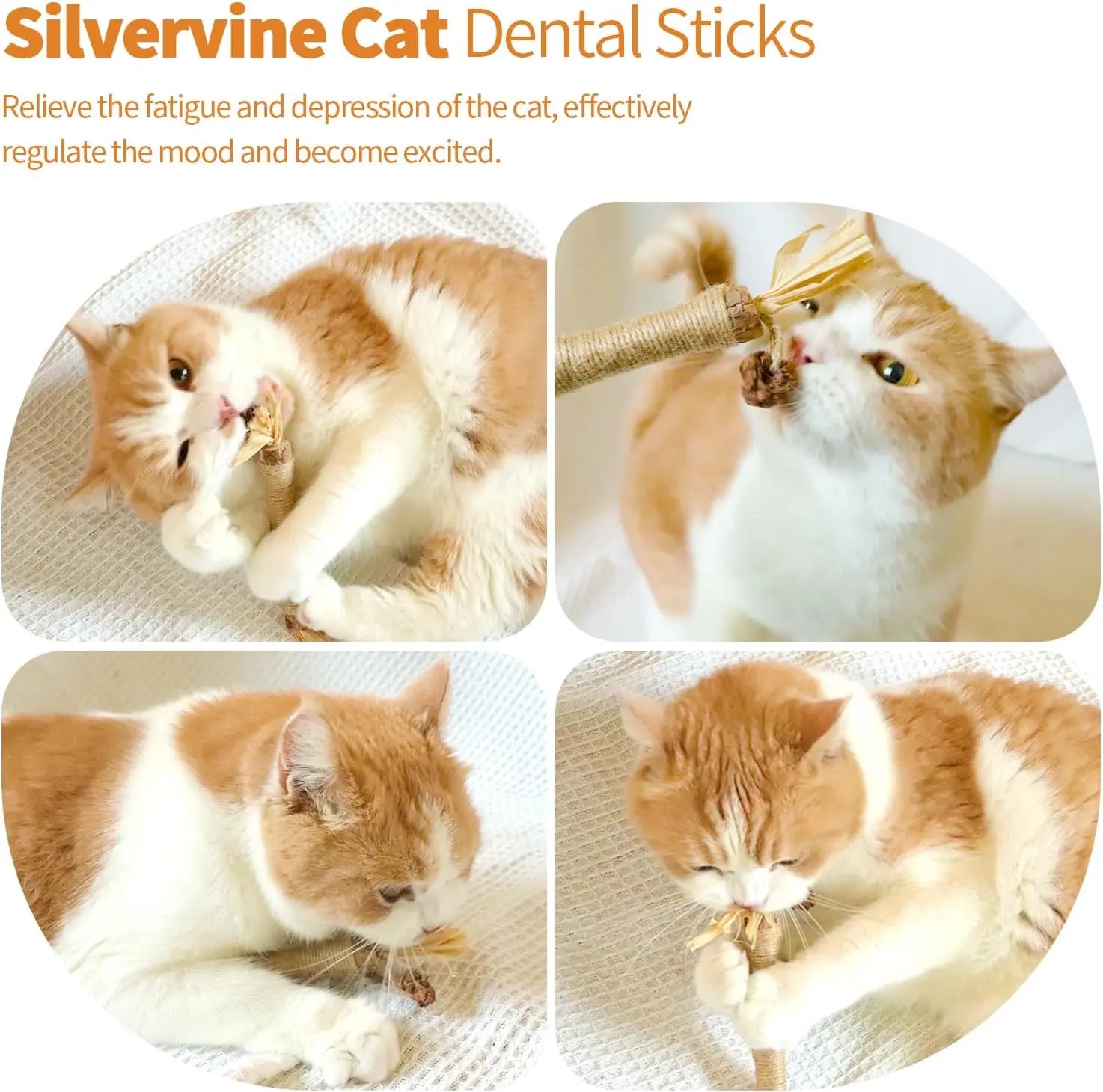 Premium Natural Silvervine Chew Sticks for Cats - Edible Teeth Cleaning Toys and Catnip Alternative
