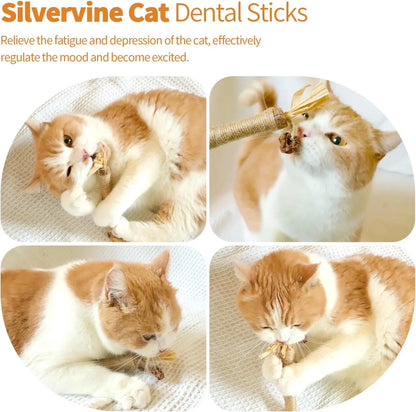 Premium Natural Silvervine Chew Sticks for Cats - Edible Teeth Cleaning Toys and Catnip Alternative