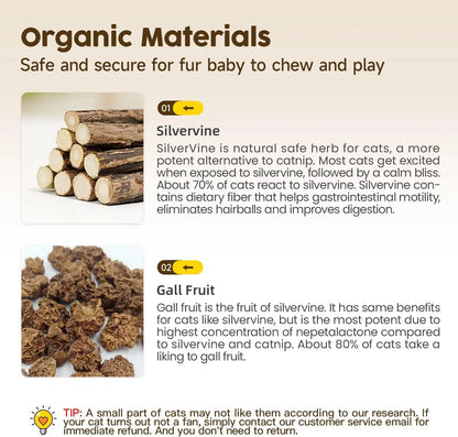 Premium Natural Silvervine Chew Sticks for Cats - Edible Teeth Cleaning Toys and Catnip Alternative