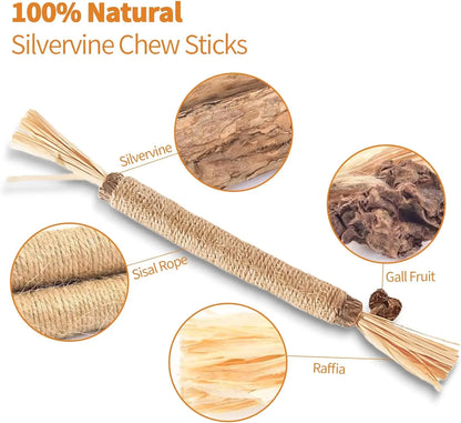 Premium Natural Silvervine Chew Sticks for Cats - Edible Teeth Cleaning Toys and Catnip Alternative