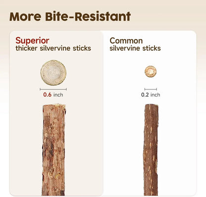 Premium Natural Silvervine Chew Sticks for Cats - Edible Teeth Cleaning Toys and Catnip Alternative